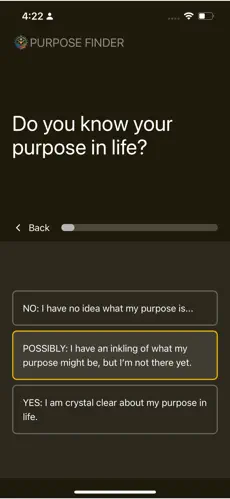 Purpose Finder screenshot 1