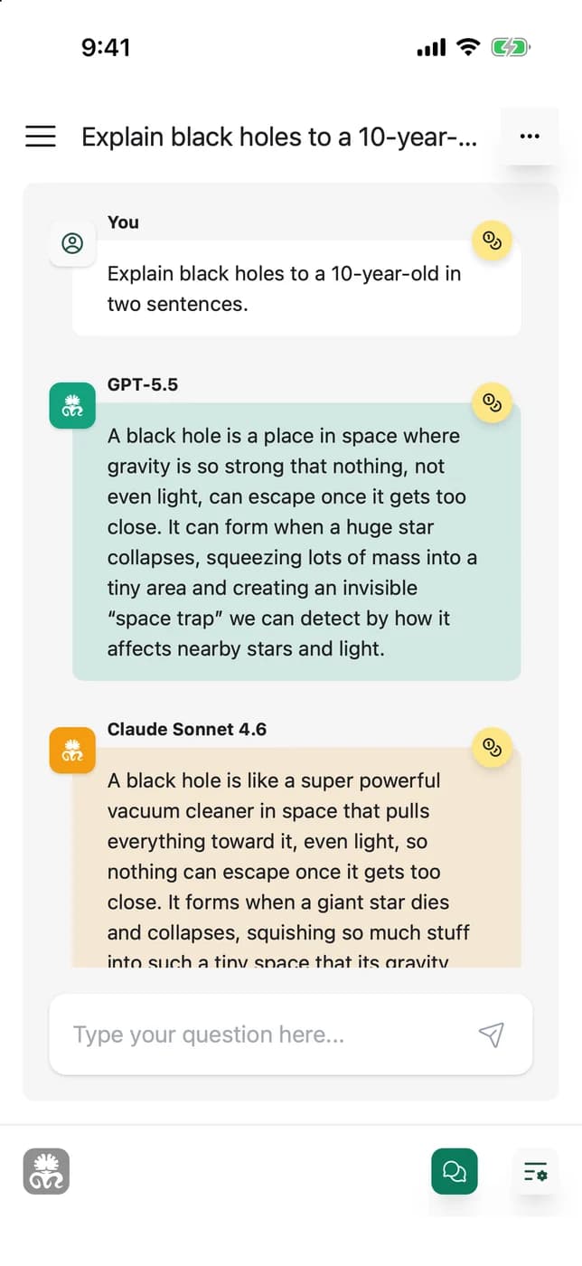 Prompt.me — black holes