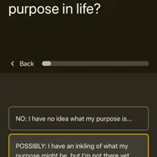 Purpose Finder screenshot 1